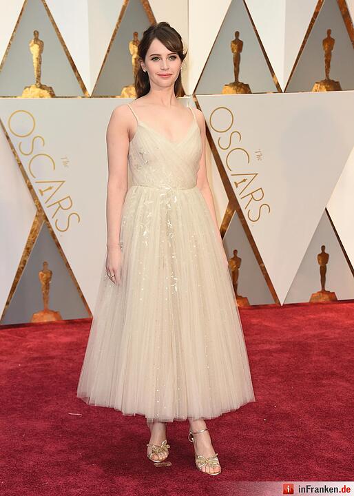 Die Oscar-Verleihung 2017