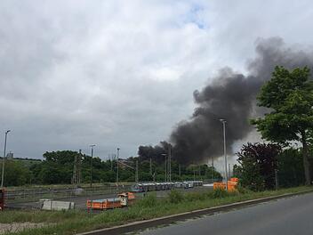 Foto: News5/Hoefig