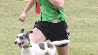 Luise Kuhlmann aus Schweinfurt beim CSC mit dem Team "Chilipfoten". Ihr Hund "Quinola" hatte sichtlich Spaß beim Überspringen der Hindernisse.