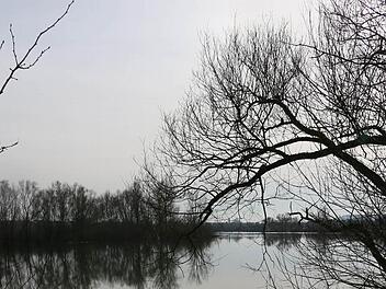 Das war der Fundort der Wasserleiche.Foto: Matthias Hoch