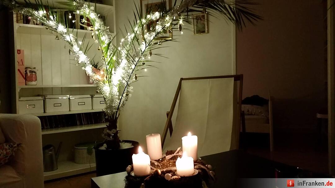 Weihnachten in Franken: Die Christbäume unserer Leser