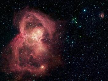 Wie bei dieser Aufnahme eines Nasa-Teleskops die einen Schmetterling zeigt, ist den Weltraum-Experten jetzt erneut eine seltene Aufnahme gelungen. Ein "Vampir-Stern" isst sich selber auf. Symbolfoto: Nasa/JPL-Caltech, dpa
