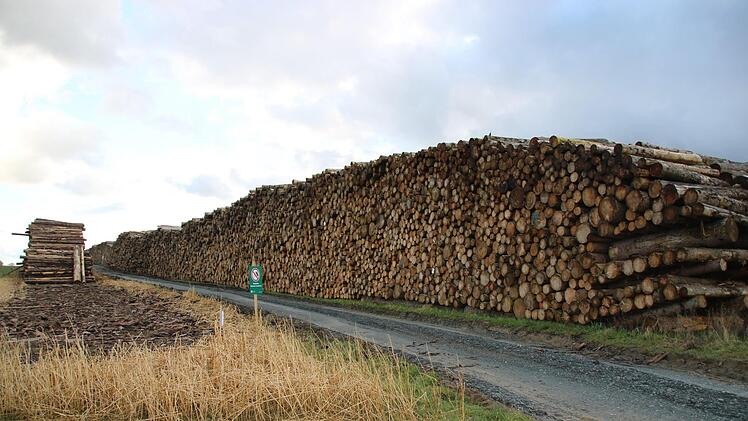 Der Staatsforsten hält sein Käferholz auf großen Holzlagerplätzen zurück, um den Holzmarkt  zu entlasten.  Foto: Christine Fischer