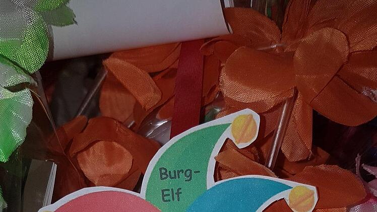 Selbst entworfen und passend zur Zeit kreierten die beiden Trainerinnen einen eigenen Orden, der ein Coronavirus mit einer Narrenkappe darstellen soll. Foto: Manfred Mellenthin