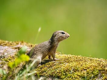 Tiergartenbesuch