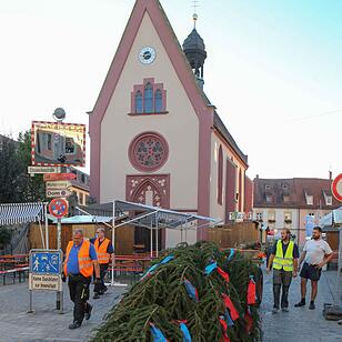 Bereits am Donnerstagmorgen wurde der Kerwabaum der Sandkerwa 2016 aufgestellt