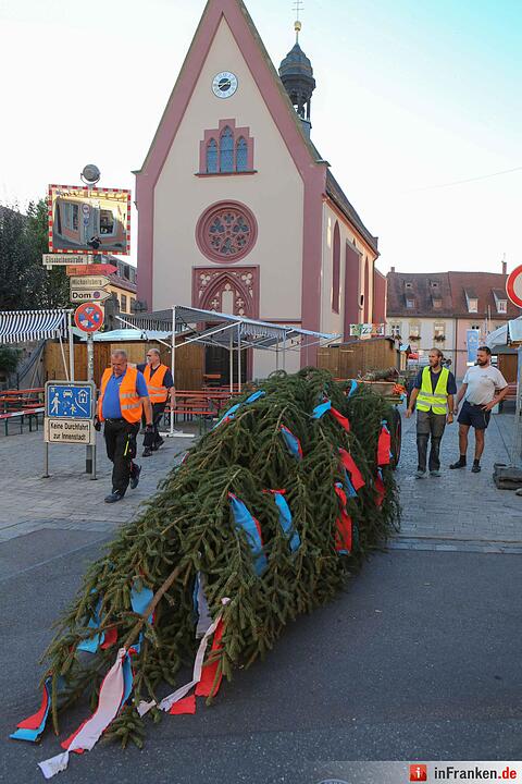 Bereits am Donnerstagmorgen wurde der Kerwabaum der Sandkerwa 2016 aufgestellt