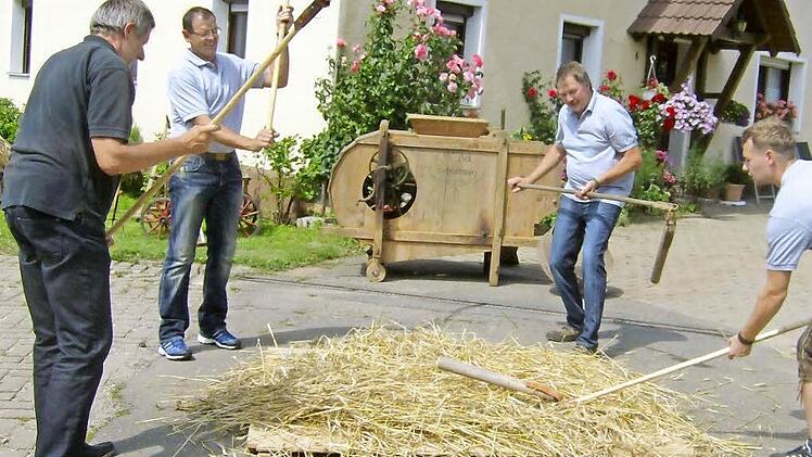 Mit Dreschflegeln bearbeiten die Männer aus Haidhof das am Boden liegende Getreide.  Fotos: Malbrich
