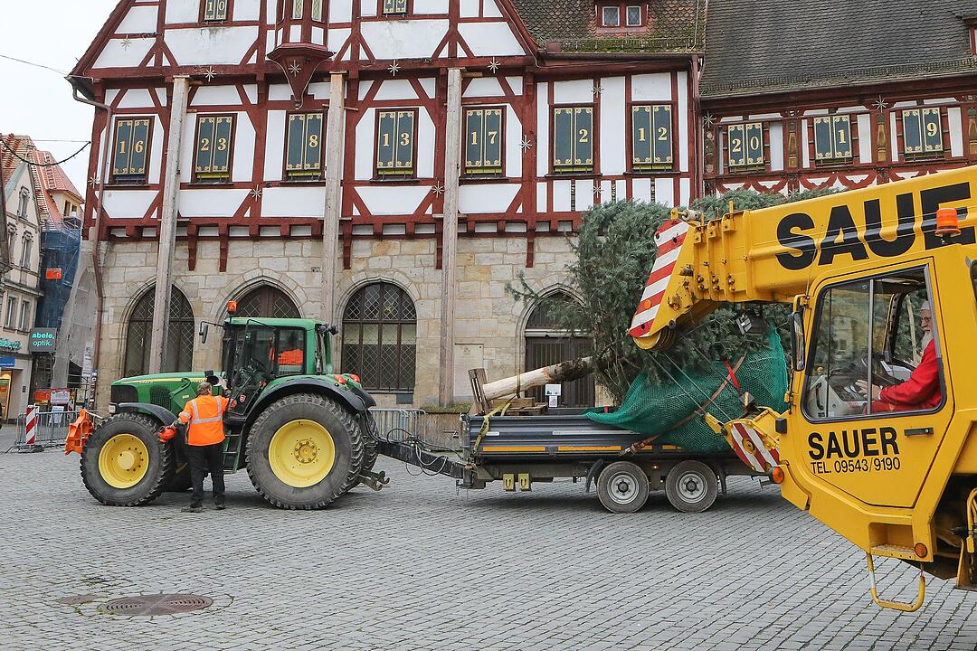 Christbaum kommt aus Schlaifhausen  auf den Forchheimer Rathausplatz