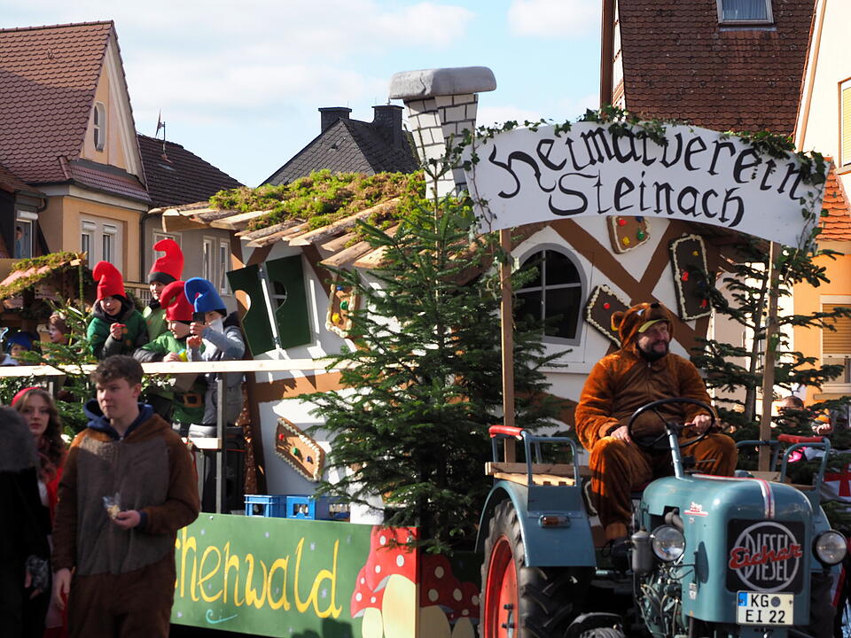 Wildes Faschingstreiben in Steinach an der Saale.