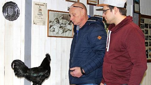 Sohn Matthias und Vater und Vorsitzender Wolfgang Kaiser (von rechts) blicken voller Stolz auf den seltenen "Cemani-Hahn".  Fotos: Günther Geiling