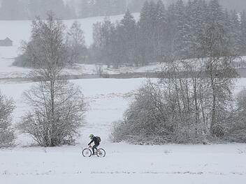 Ast im Bamberg bricht wegen Schneelast: Radfahrer in Lebensgefahr