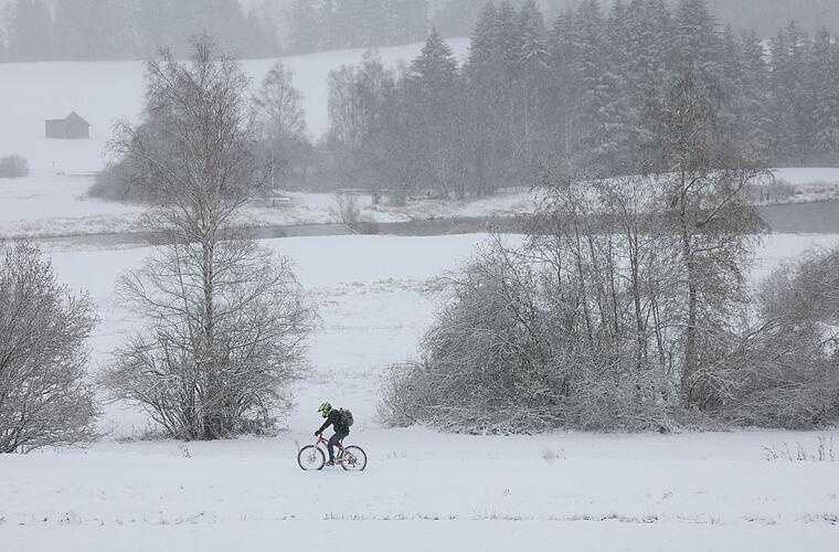 Bamberg: Radfahrer lebensgefährlich verletzt - Ast bricht wegen Schnee