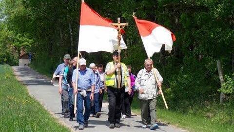 Bei bestem Wanderwetter pilgerten die Herzogenauracher nach Veitsbronn. Foto: Helmut Fischer