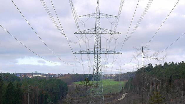 Diese Strommasten f&uuml;hren derzeit zwei 380kv-Leitungssysteme &ouml;stlich an Coburg vorbei. Foto: Berthold K&ouml;hler