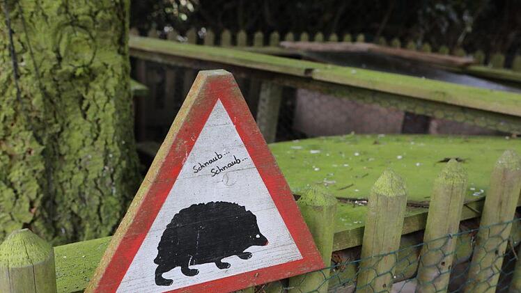 Foto: Barbara Herbst