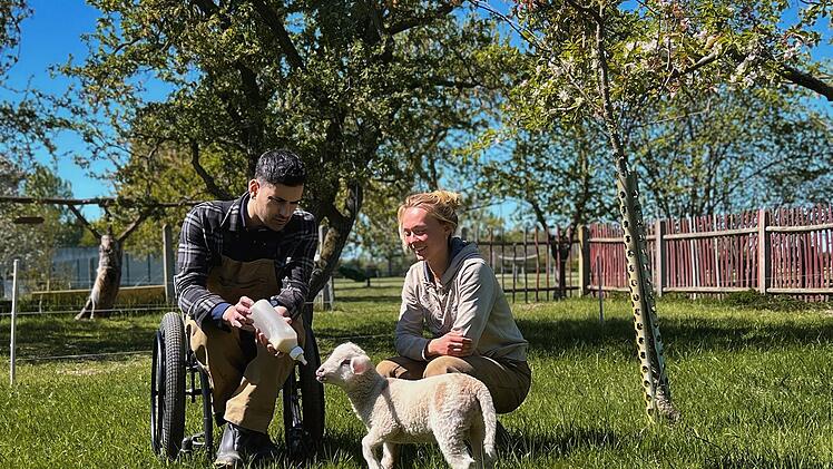 Gemeinsam mit Lydia Praters f&uuml;ttert Tan Caglar die Schafe.