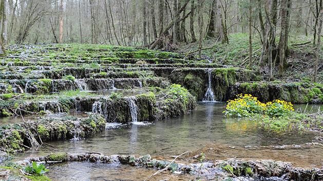 Die Sinterstufen unweit der Lillachquelle - ein rund 10&nbsp;000 Jahre altes Naturdenkmal
