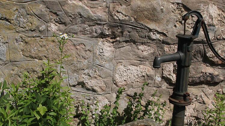 Bilder aus teilnehmenden Gärten Foto: Jürgen Gärtner