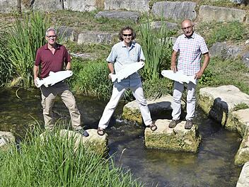 In der Lauter gegenüber der Polizei findet am Sonntag das Gewässer-Art-Projekt der Kultur-Initiative Bad Staffelstein statt (von links): Anton Köcheler, Hubert Kolling und Hermann Hacker.  Foto: Andreas Welz