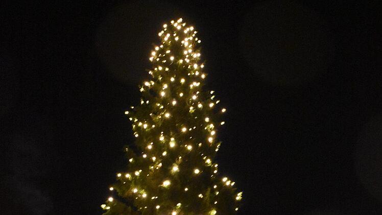 Der Baum erstrahlt durch die vielen Lichter. Foto: Wiedemann