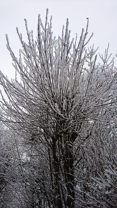 Schnee und Eis - Die schönsten Aufnahmen aus Franken