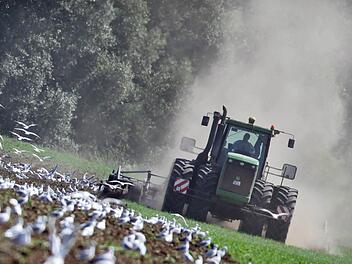 Landwirte bekommen für ihre Flächen und Leistungen Zahlungen aus den Fördertöpfen der EU.J. Woitas/dpa