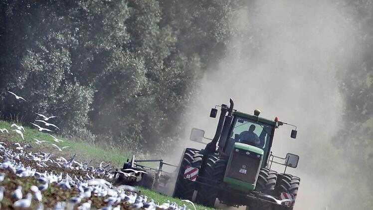 Landwirte bekommen für ihre Flächen und Leistungen Zahlungen aus den Fördertöpfen der EU.J. Woitas/dpa