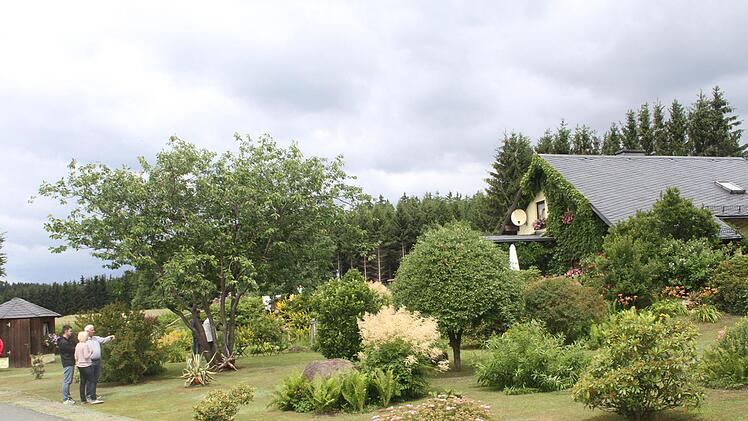 Margit und Horst G&ouml;bel haben einen sehr gepflegten Garten. Einzelne Stauden und Rhododendren setzten Akzente.