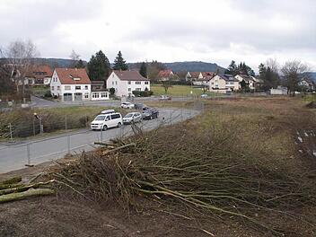 Auf dem Baugelände für das Feuerwehr-Großprojekt in der Rodacher Straße tut sich wieder etwas. Bäume wurden gefällt und in kleinere Teile zerlegt. Fotos: Marco Meißner