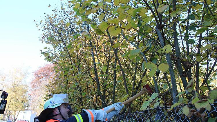 Feuerwehrleute schlagen eine Sichtschneise, da Buschwerk den freien Blick auf das Tier versperrte. Foto: Heike Beudert