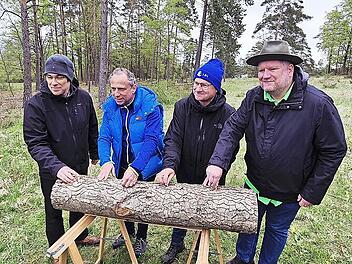 Pilotprojekt in Bad Staffelstein belebt seltene Pilzarten