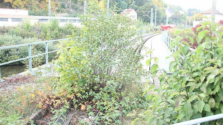 Die alte Bahnbrücke  Foto: Friedwald Schedel