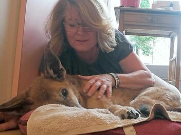 Ronja und ihr Frauchen im Bamberger Frisörsalon  Foto: Anette Schreiber