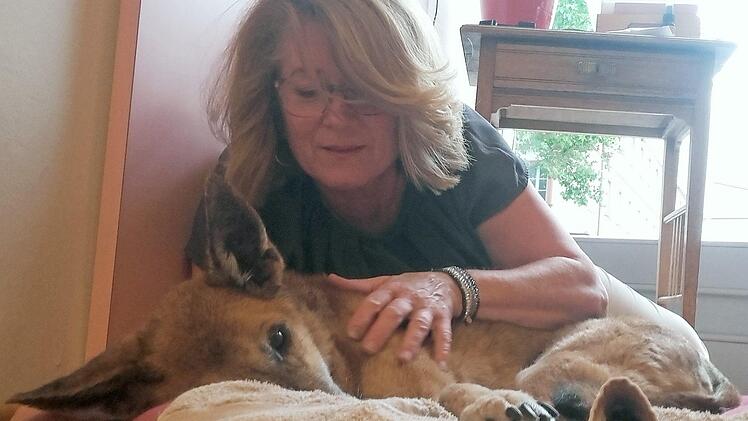 Ronja und ihr Frauchen im Bamberger Frisörsalon  Foto: Anette Schreiber