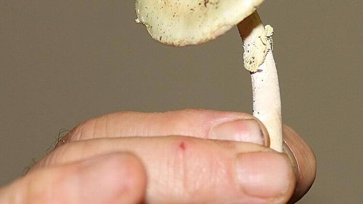 Ausstellung der Naturschützer.