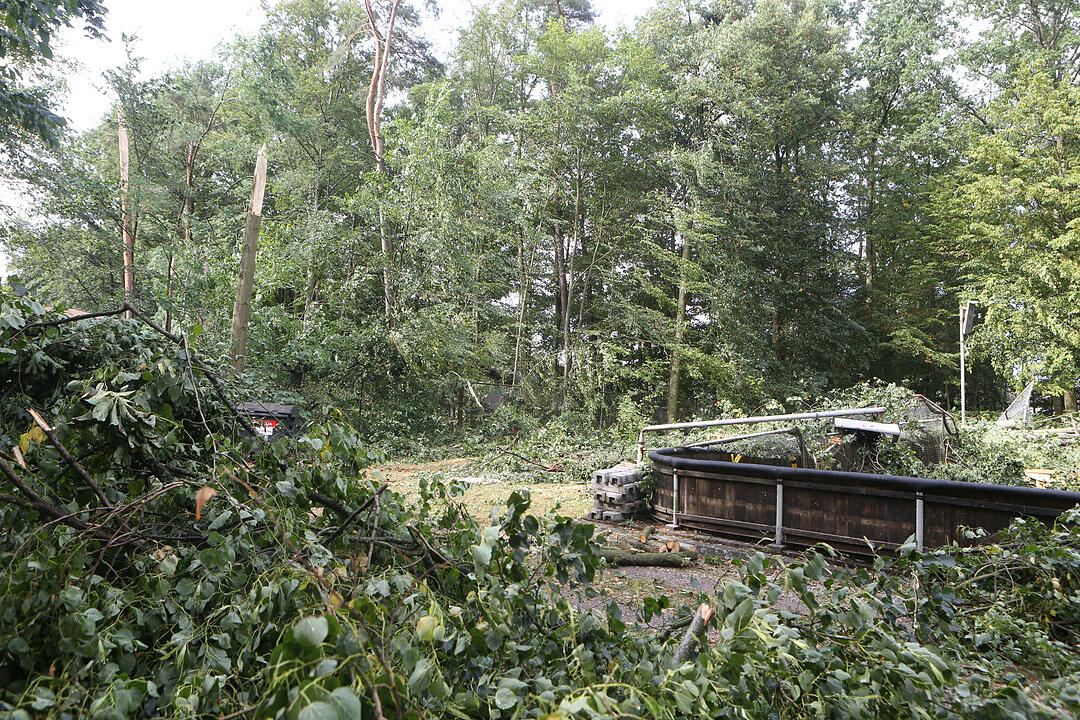 Aufraeumarbeiten in Bamberg nach schwerem Unwetter