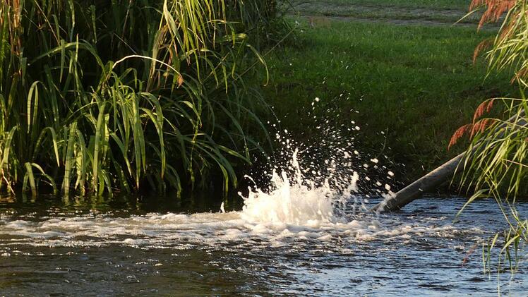 Der Sauerstoffgehalt konnte nach drei Tagen durch die Belüftungsmaßnahmen von 0,9 Milligramm auf über fünf  Milligramm je Liter gesteigert werden. Foto: Christian Licha