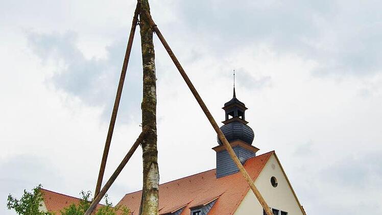 Maibaum in Nüdlingen 2014