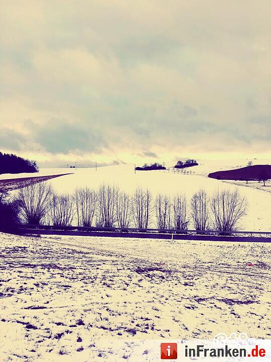 Eis und Schnee in Franken - die schönsten Winterleserfotos