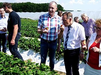 Getestet und für gut befunden: Evi Derrer, Alexander Tritthart und Konrad Kreß (v. r.) genießen frische Erdbeeren.    Foto: Richard Sänger
