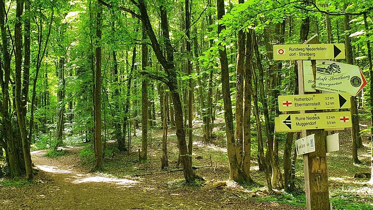 Der erste Trail führt von der Neideck nach Trainmeusel Foto: Ronald Heck