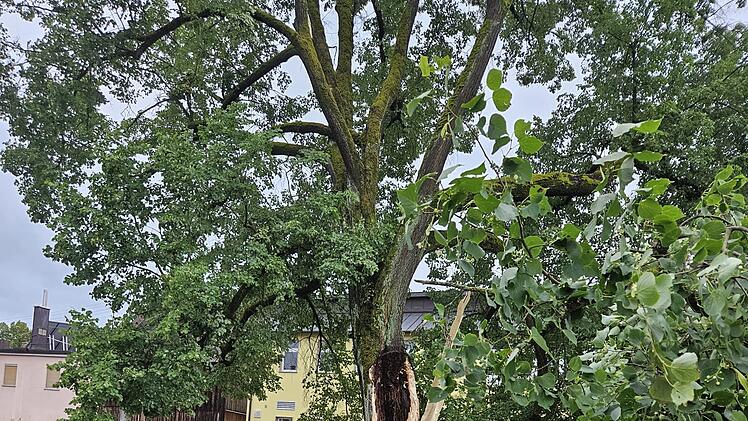 Marktrodach von Unwetter gebeutelt - verwüstete Friedhöfe, umgestürzte Bäume, geschlossenes Freibad