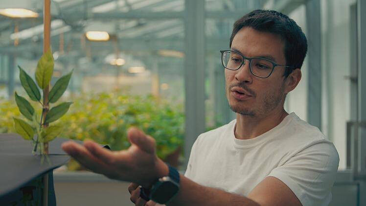 Der Botaniker Felipe Yamashita vermutet, dass Pflanzen eine Art Sehvermögen haben. Was bedeutet das für unsere Vorstellung von der Seele?