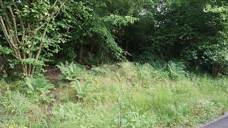 An dieser Stelle entlang des  Rhönexpress Bahn-Radweg soll ein Rastplatz  entstehen, der dem Zeitlofser Altbürgermeister Friedrich Wilhelm  gewidmet wird. Foto: Marion Eckert