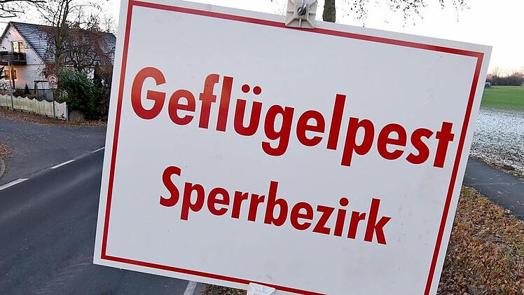 Die Vogelgrippe in Bayern und Franken weitet sich weiter aus. Ein Ende der Stallpflicht ist vorerst nicht in Sicht. Foto: Holger Hollemann/dpa