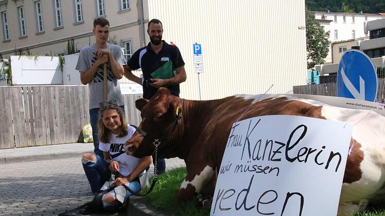 Kuh Cilly will am Freitag die Kanzlerin treffen. Landwirt Alfred Greubel aus Elfershausen führte sie schon mal zur Probe durch die Bad Kissinger Innenstadt. Foto: Ralf Ruppert