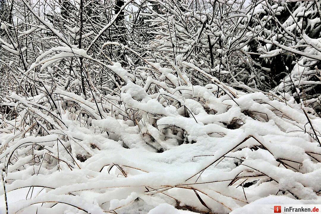 Schnee im Fichtelgebirge