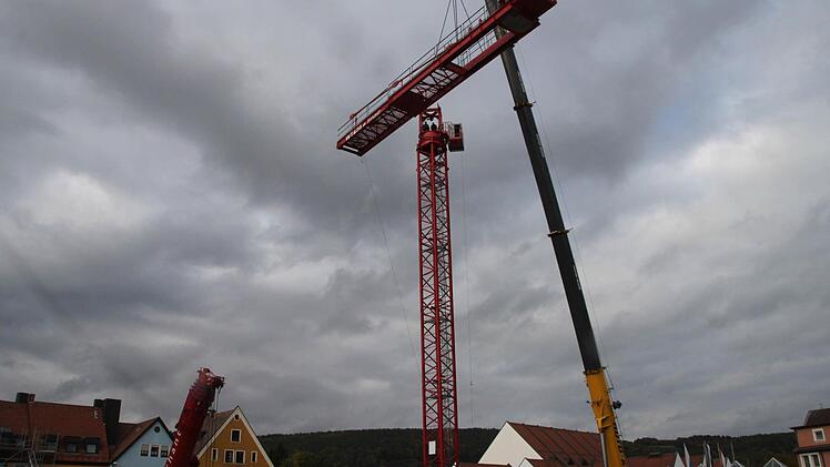 So wächst der Riesenkran
