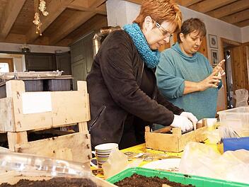 Evelyn Sitzmann und Beate Ritter-Schilling bereiten die Pflanzkästen vor. Foto: Arkadius Guzy